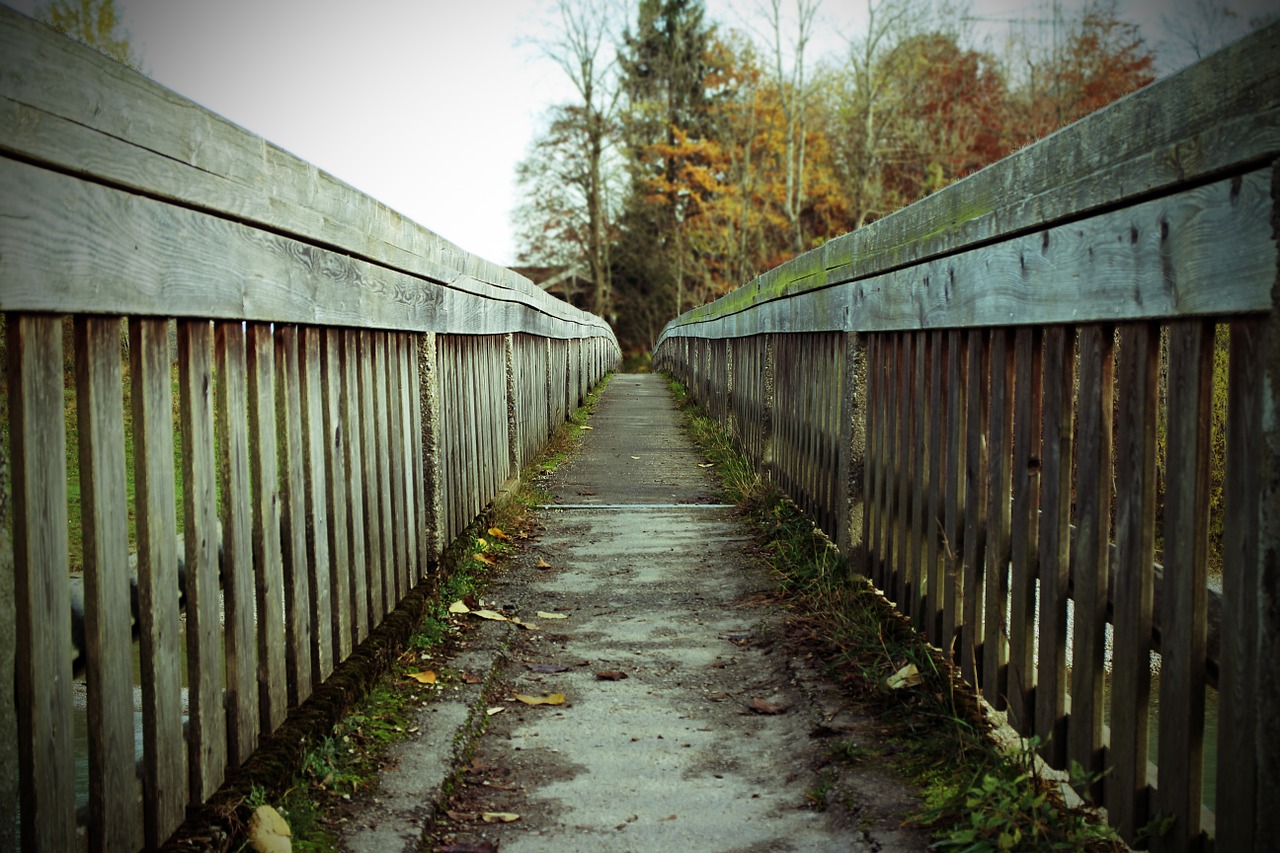 bridge web away free photo