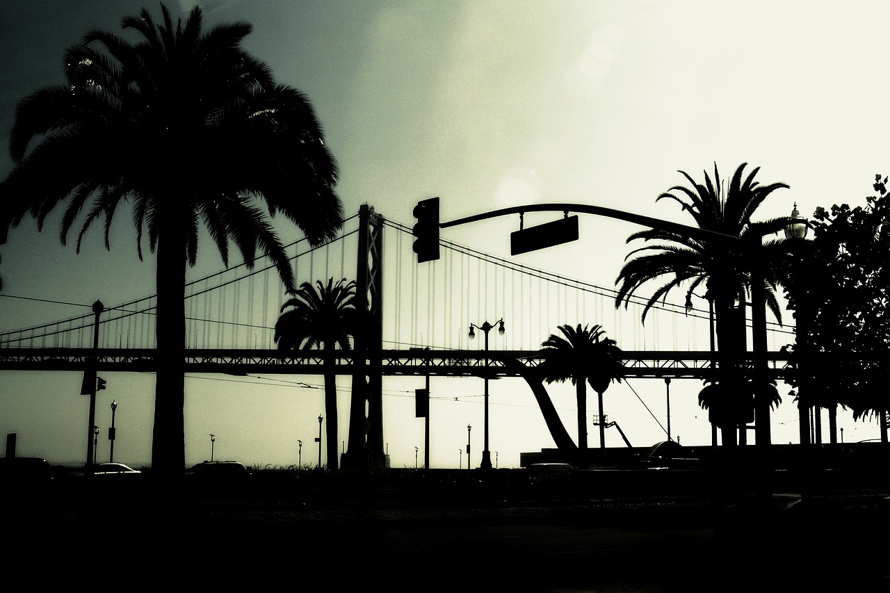 bridge silhouette palms free photo