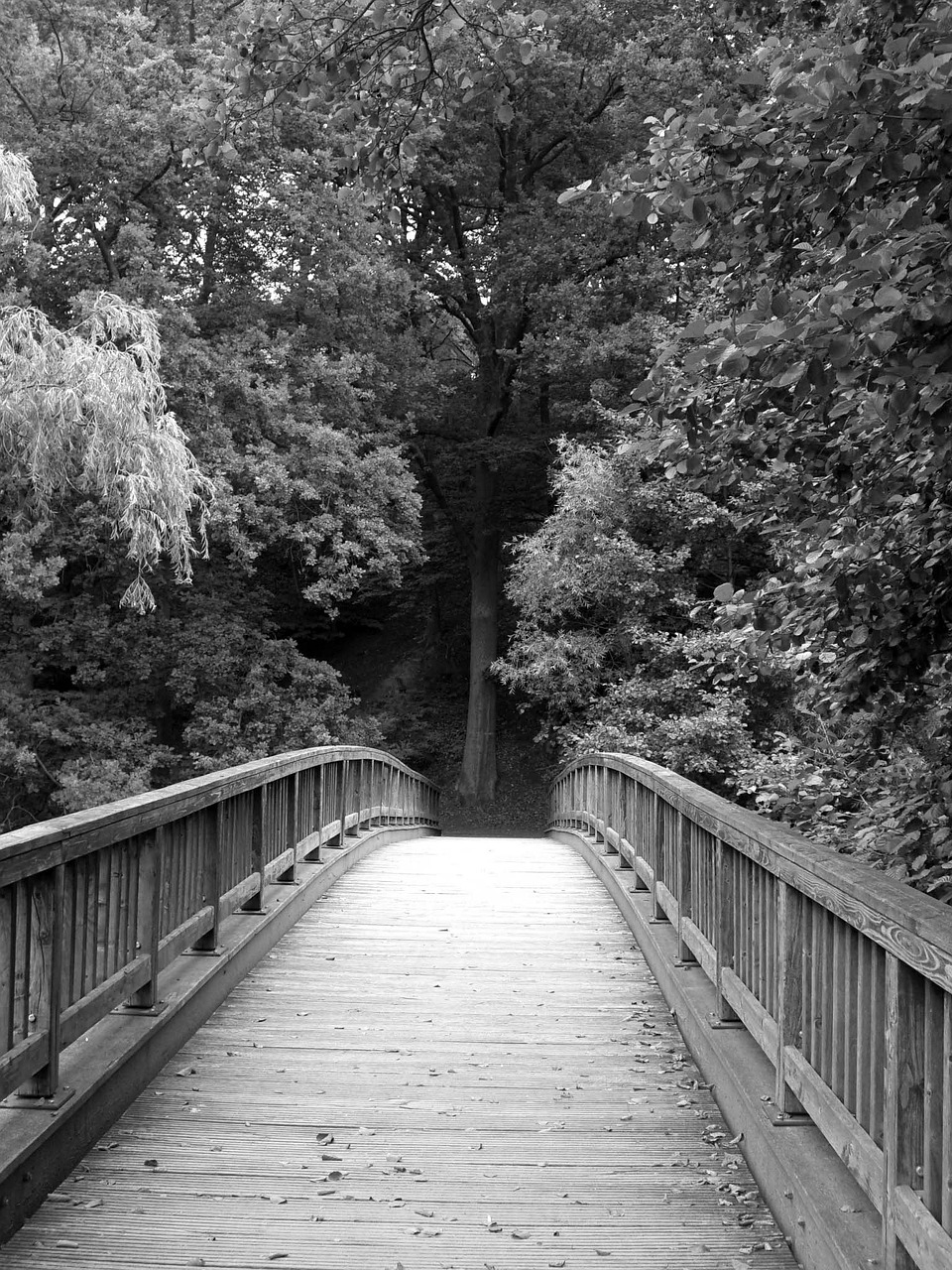 bridge transition water free photo