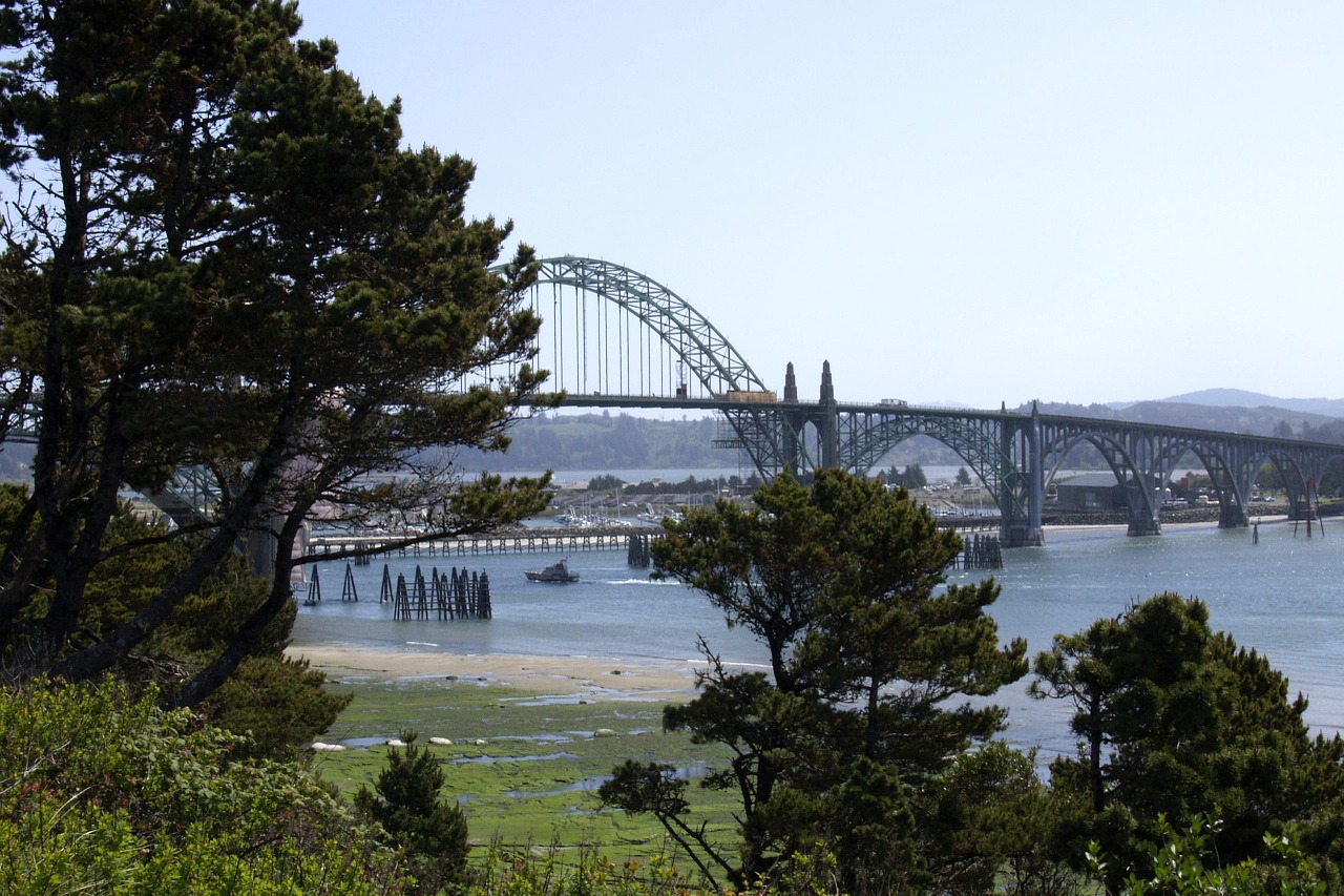 bridge metal landscape free photo