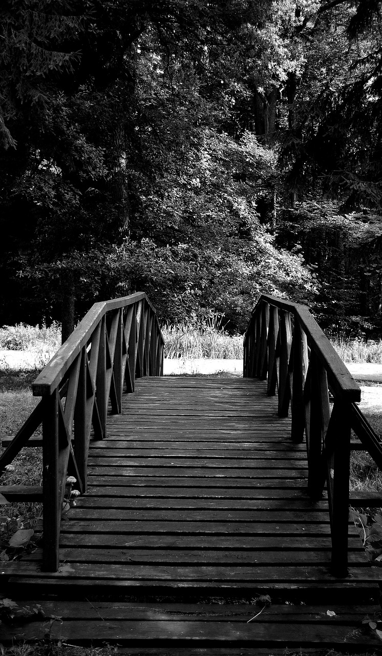 bridge wooden black and white free photo