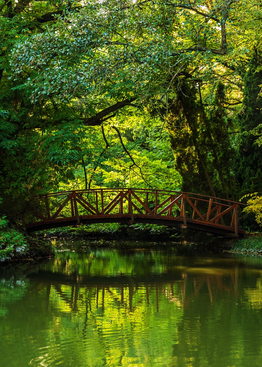 bridge forest nature free photo