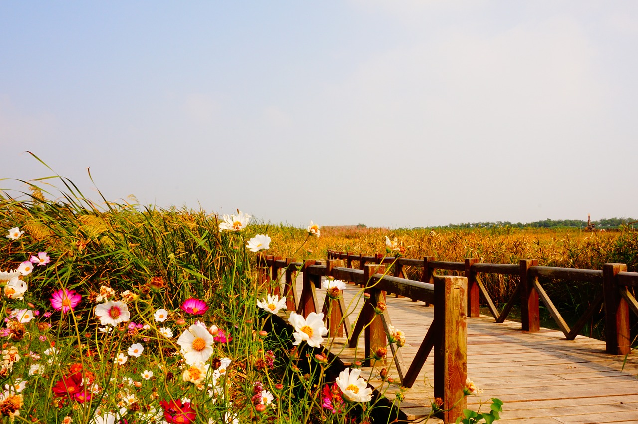 bridge the scenery wild flowers free photo