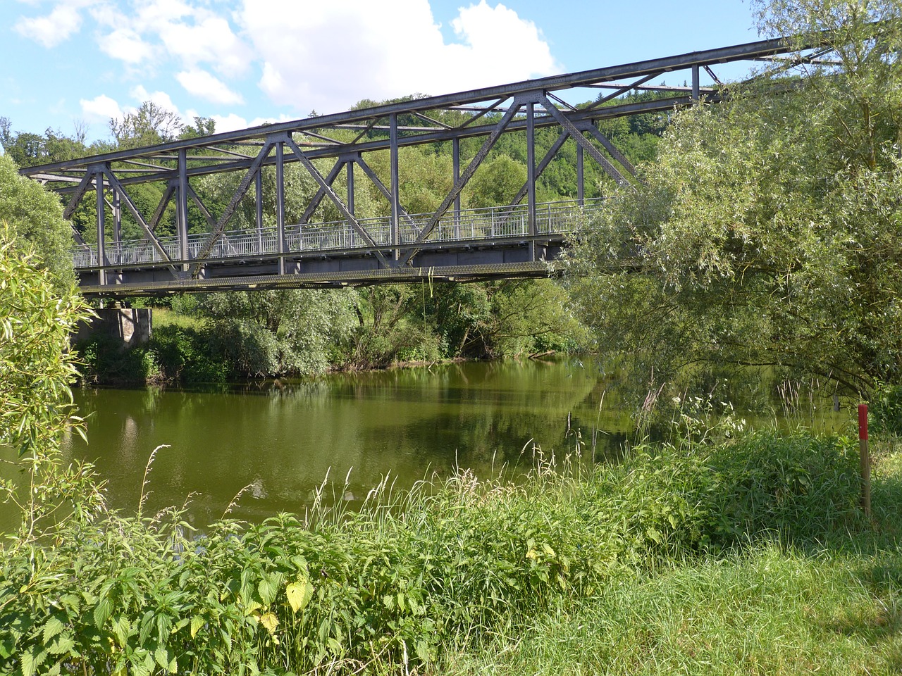 bridge green nature free photo