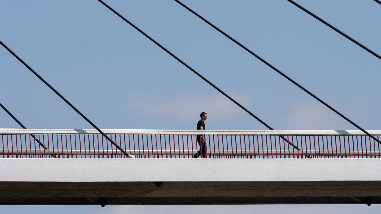 bridge suspension bridge human free photo