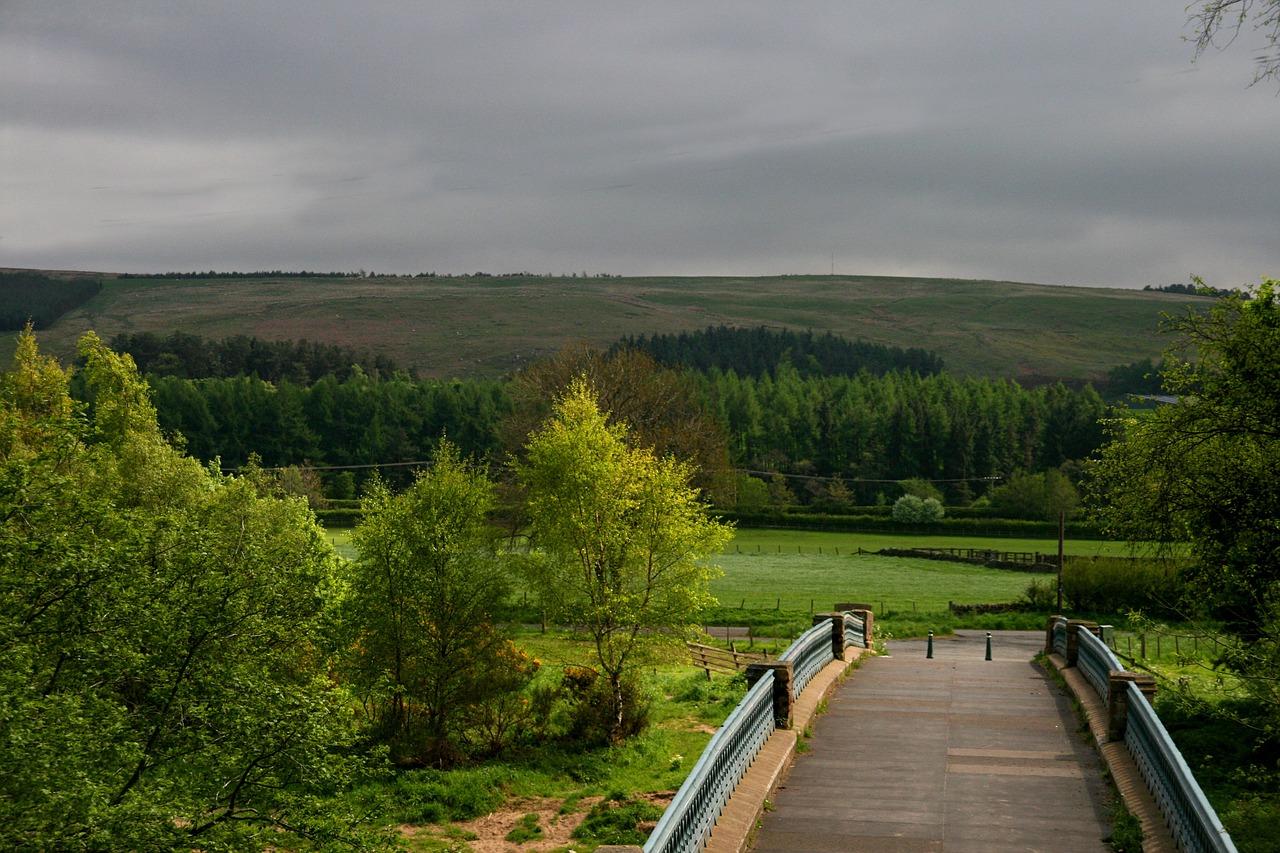 bridge meadow green free photo