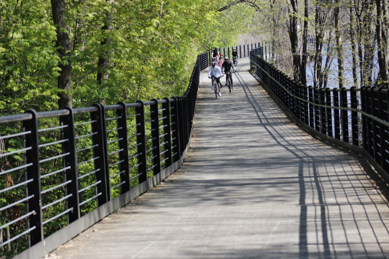 bridge natural park free photo