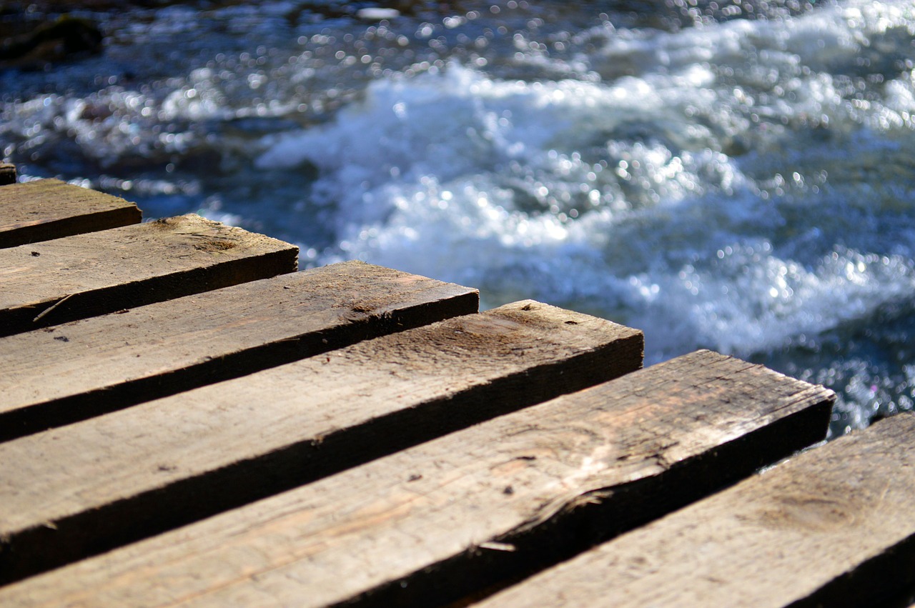 bridge wood nature free photo