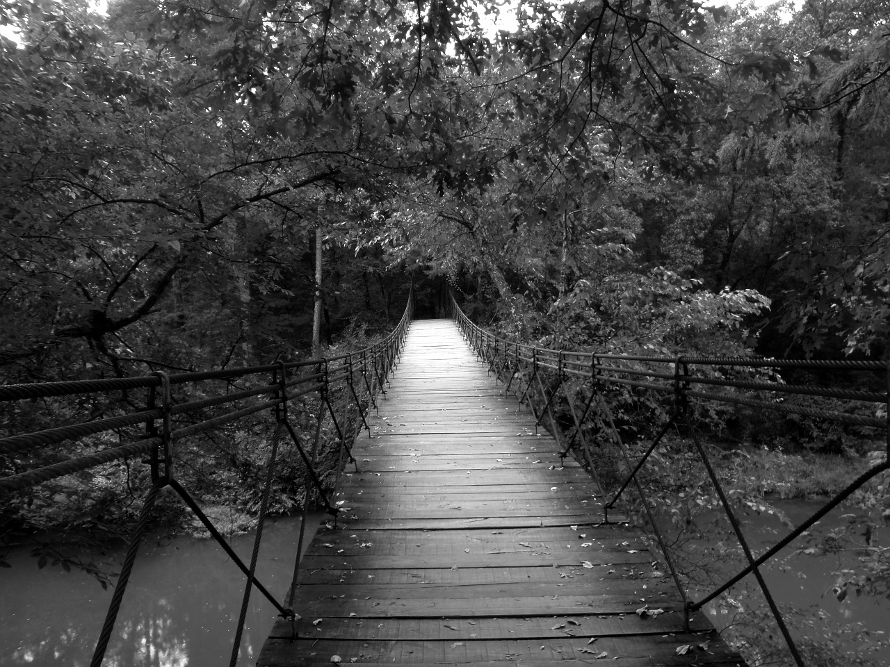 bridge swinging wood free photo