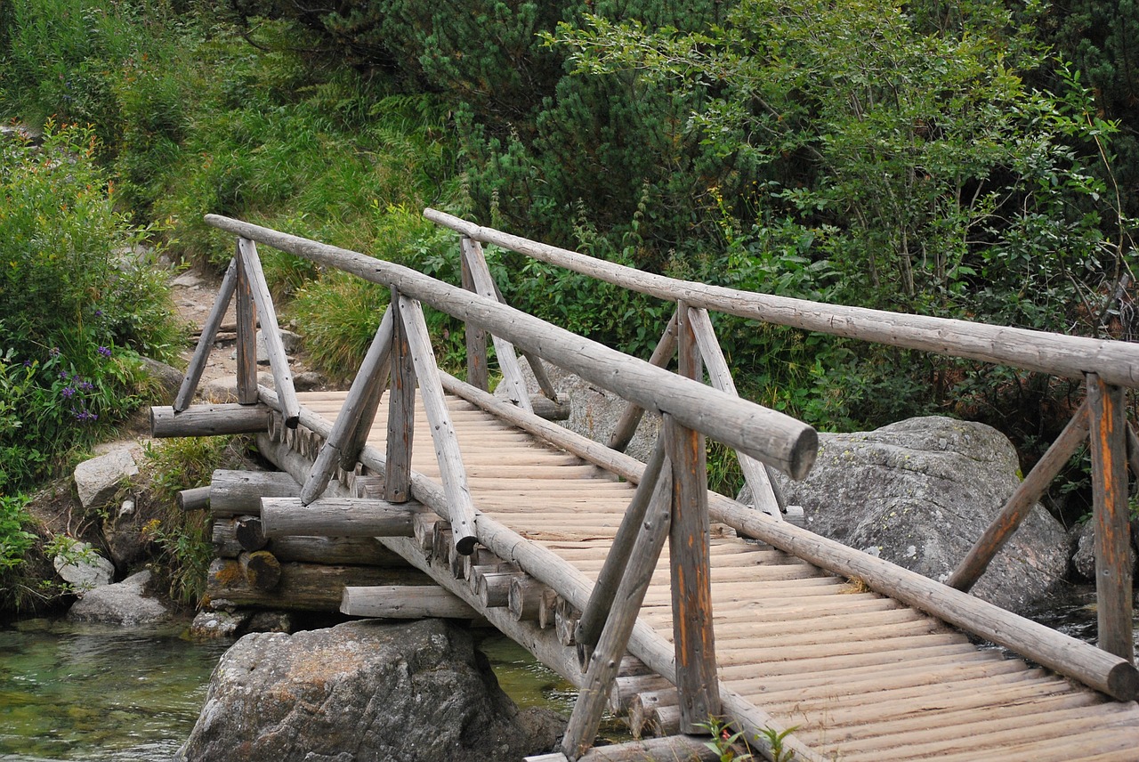 bridge wooden river free photo