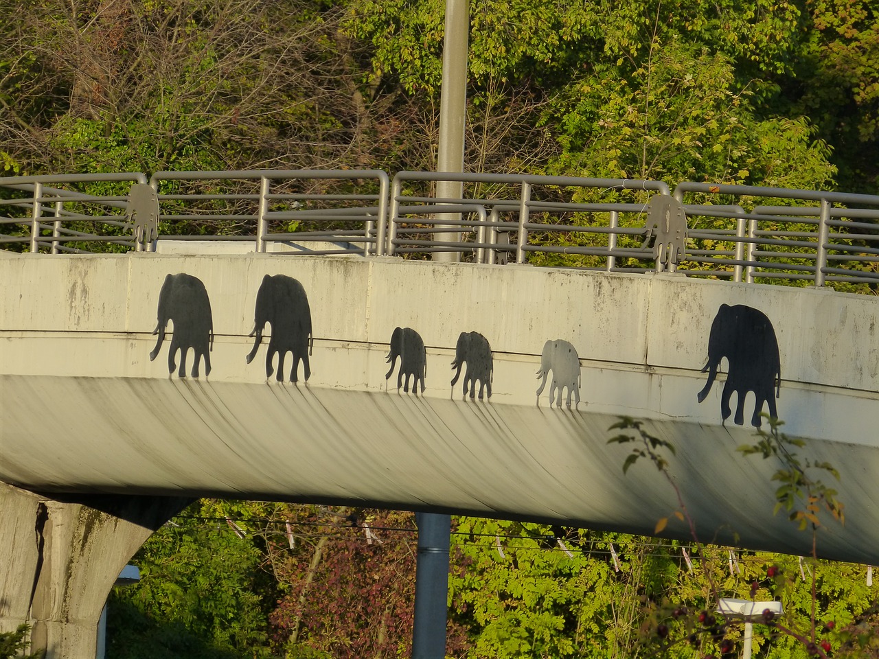 bridge elephant painting free photo