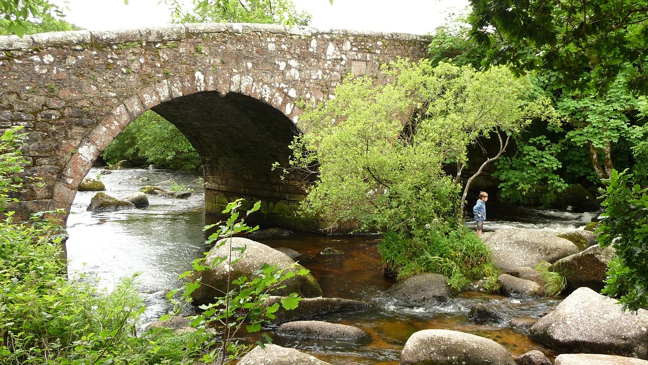 bridge river boy free photo