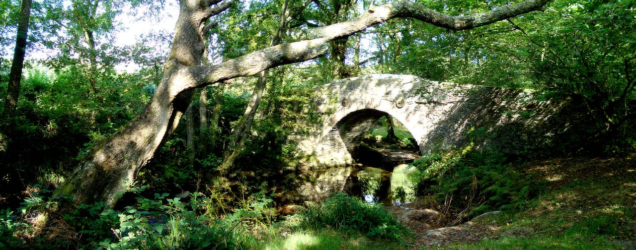 bridge river water free photo