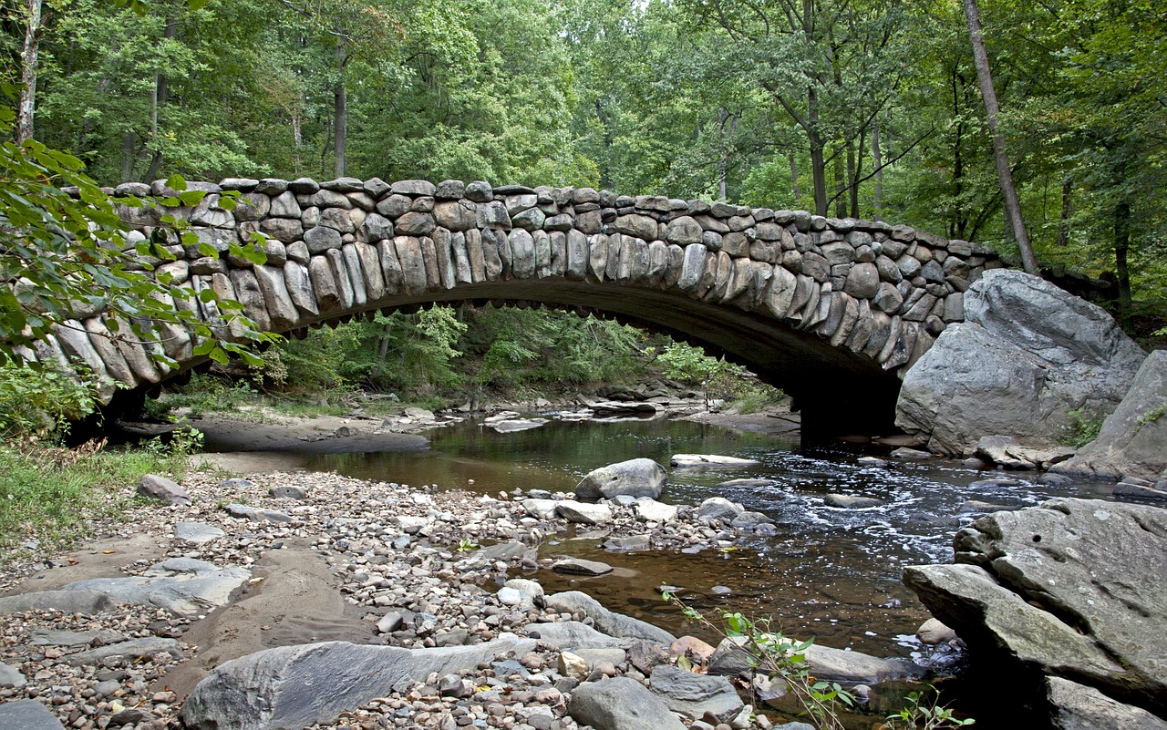 bridge stream creek free photo