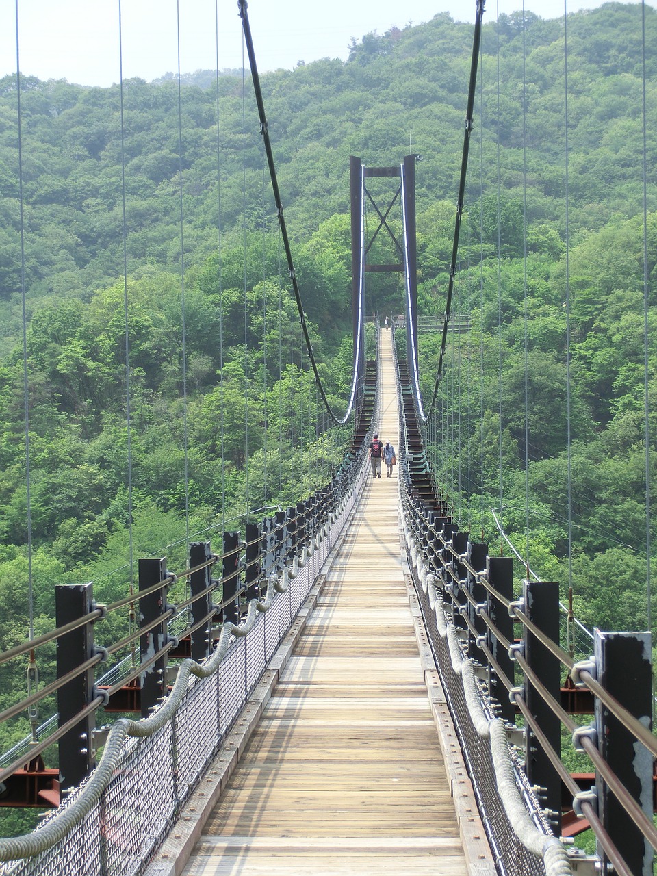Edit free photo of Bridge,suspension bridge,suspension,trees,woods ...
