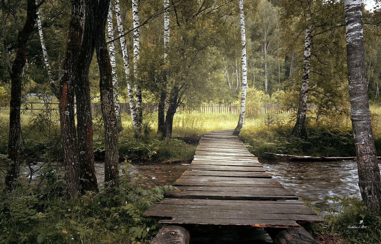 bridge wooden old free photo