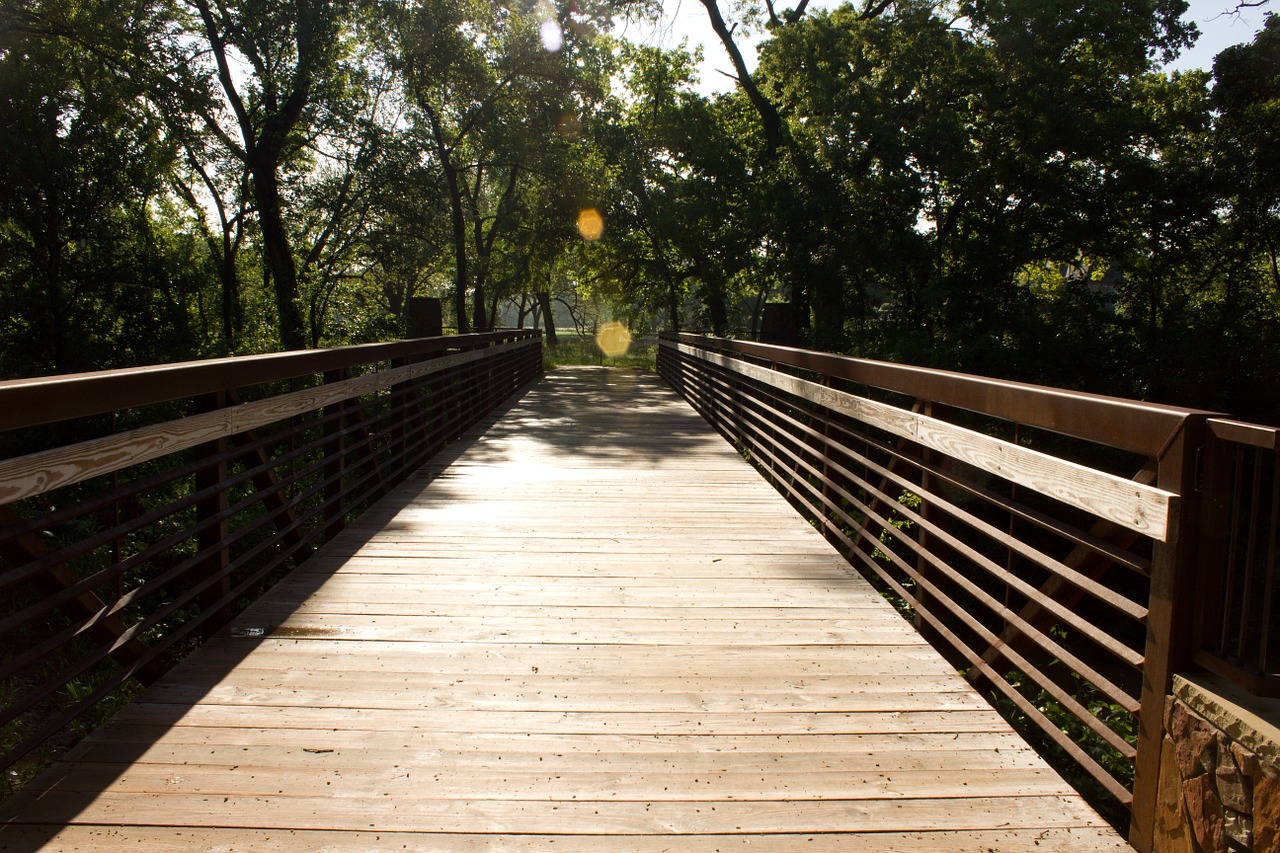 bridge nature scenic free photo