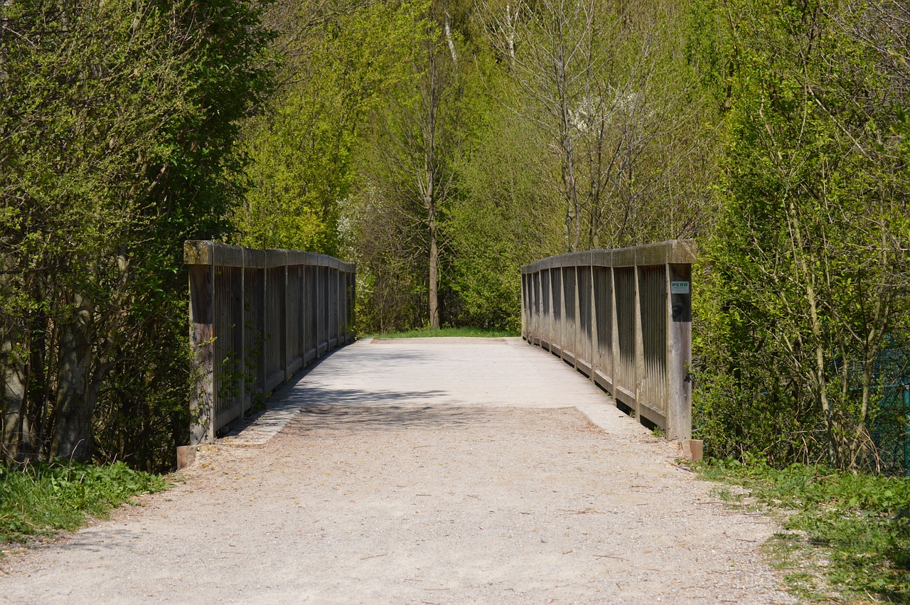 bridge forest scenic free photo