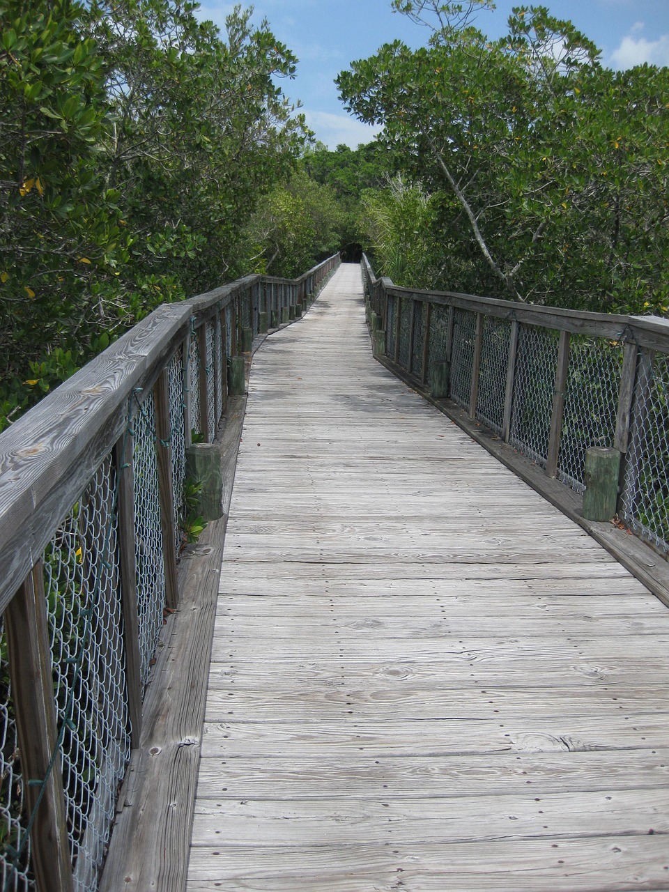 bridge foot bridge foot free photo