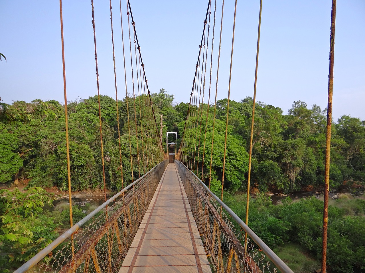 bridge hanging suspension free photo