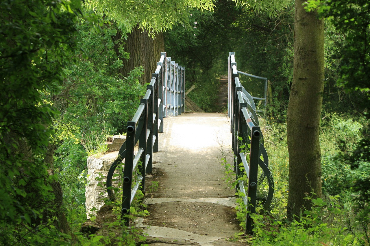 bridge crossing track free photo