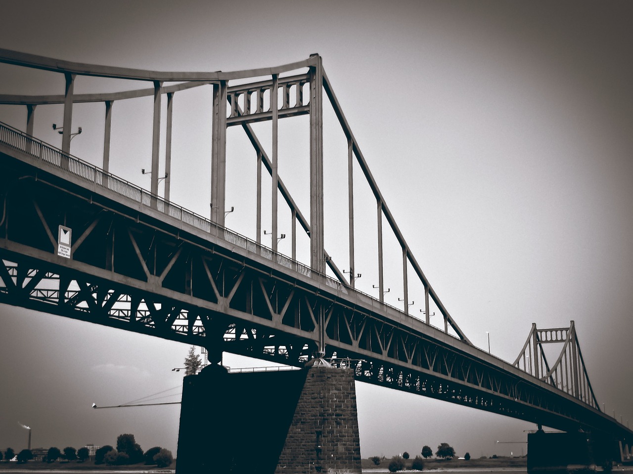 bridge rhine architecture free photo