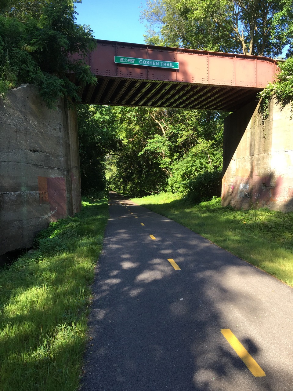 bridge path nature free photo