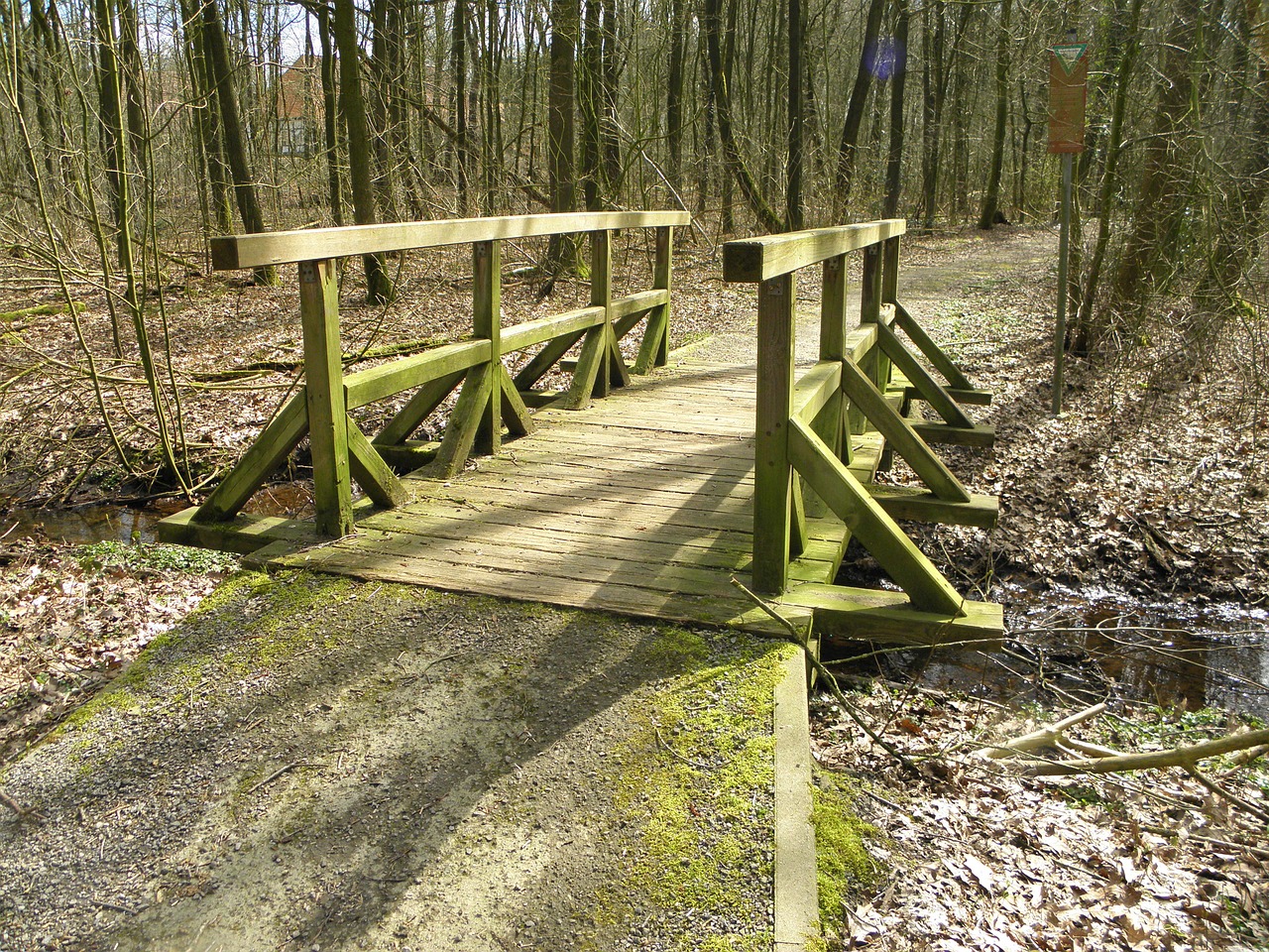 bridge wood moss free photo