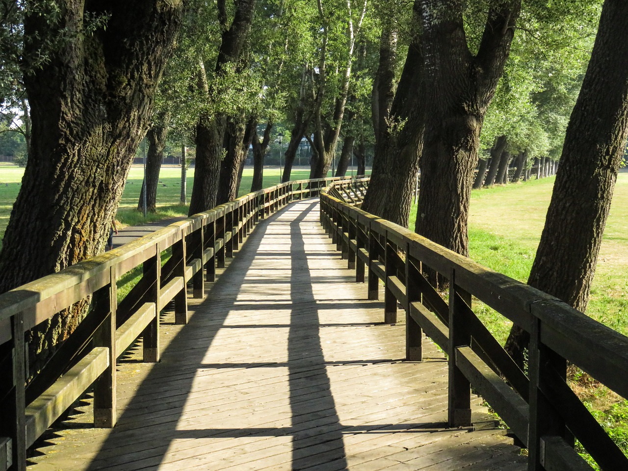 bridge web wood free photo