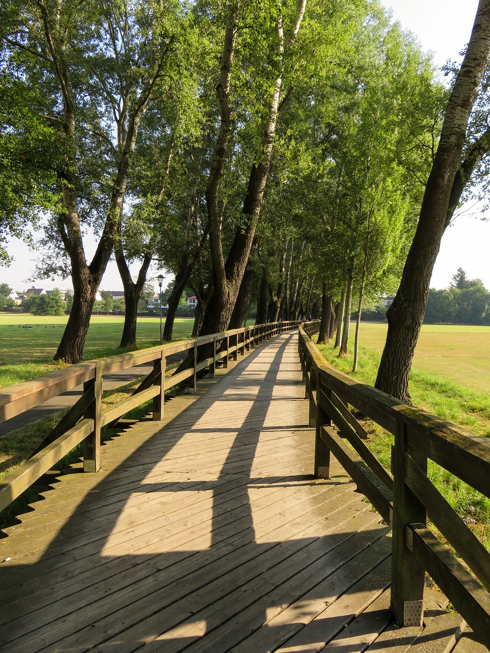 bridge web wood free photo