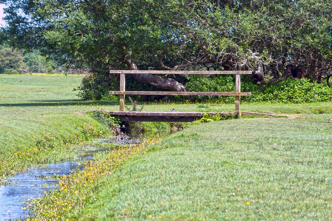 bridge wooden bridge wood free photo