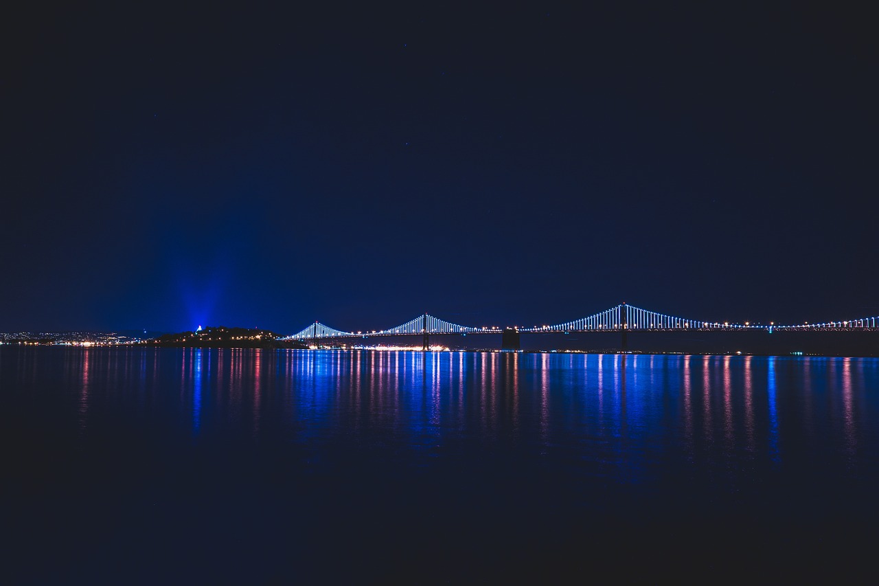 bridge lights night free photo