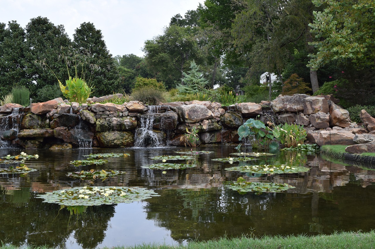 bridge garden arboretum free photo