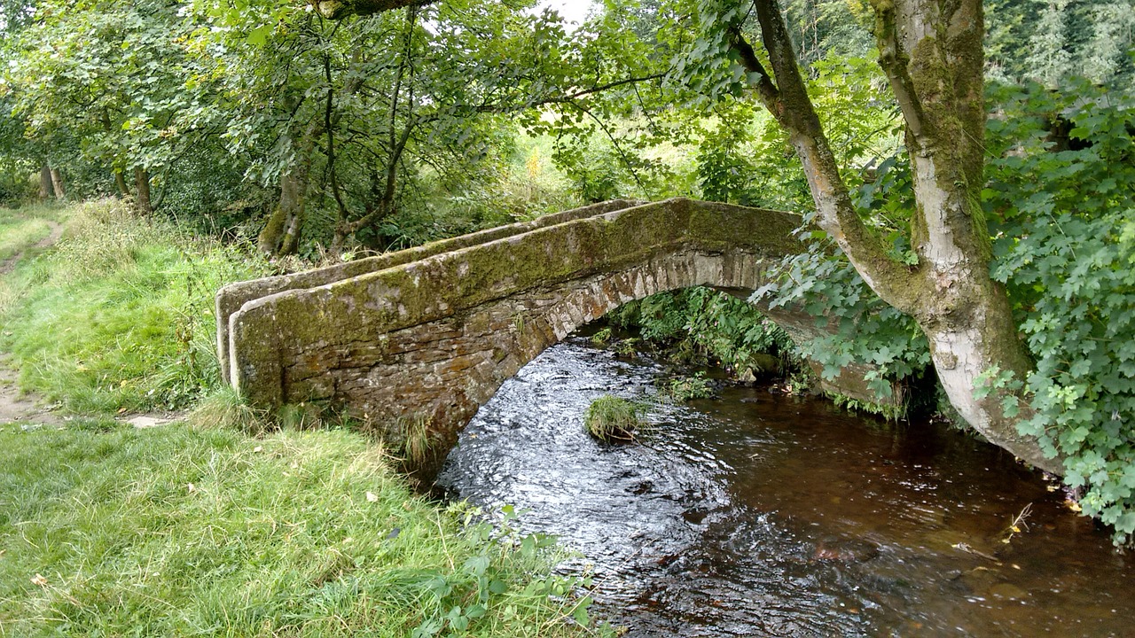 countryside england nature free photo