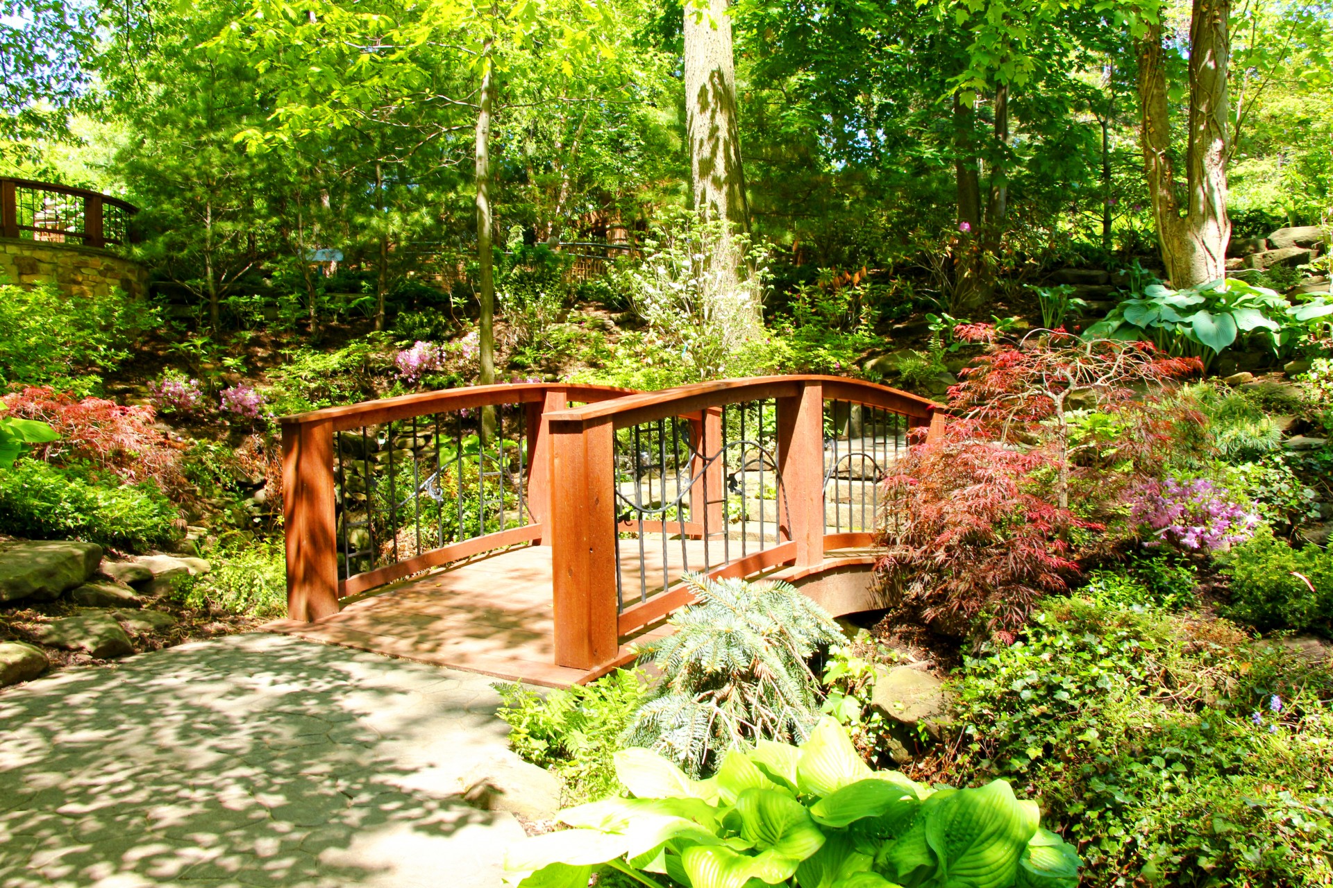 bridge stream garden free photo