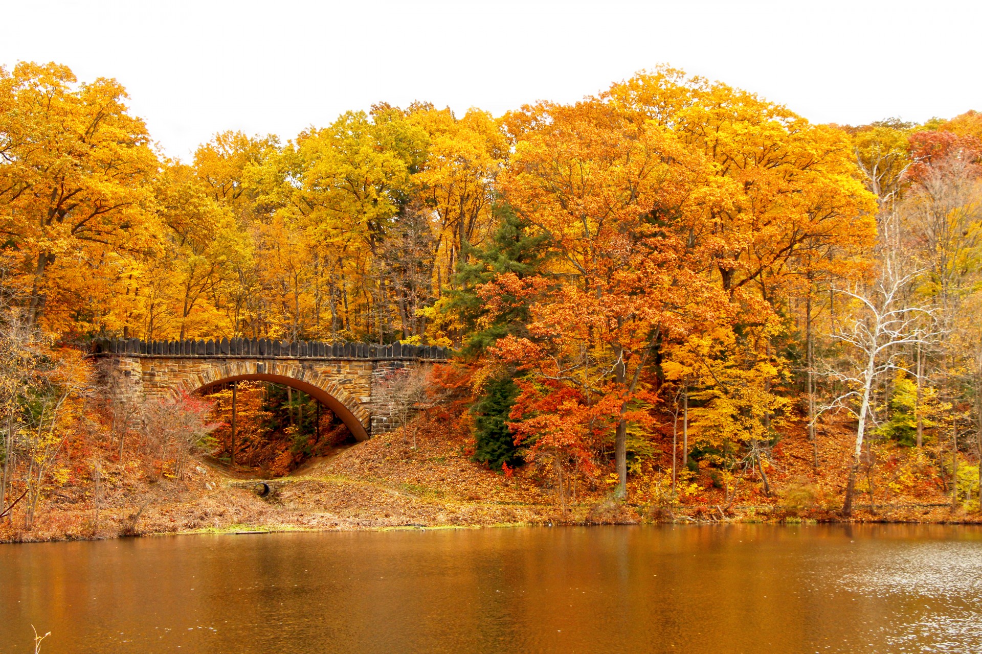 bridge autumn fall free photo