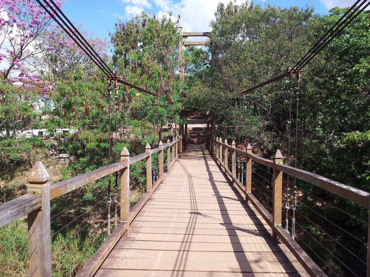 bridge in pirenópolis path trees free photo