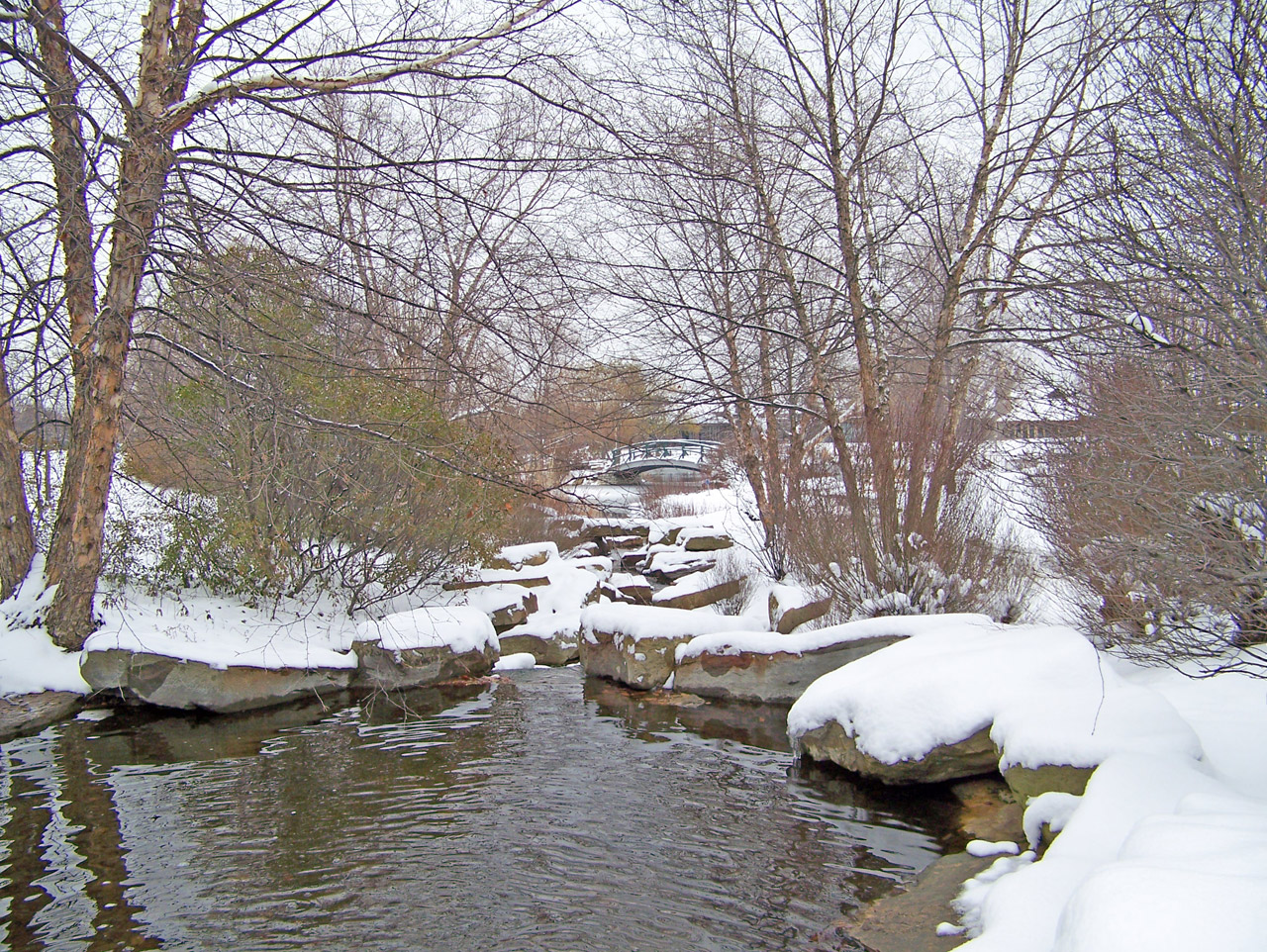 creek snow winter free photo