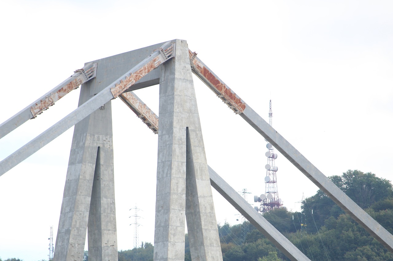 bridge morandi  genoa  collapse free photo