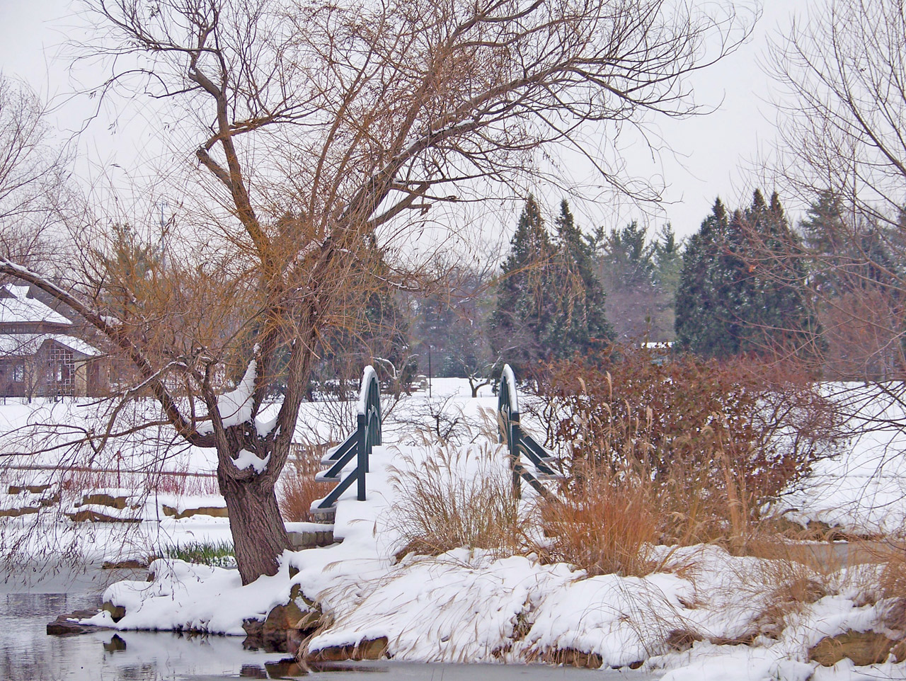 bridge pond winter free photo