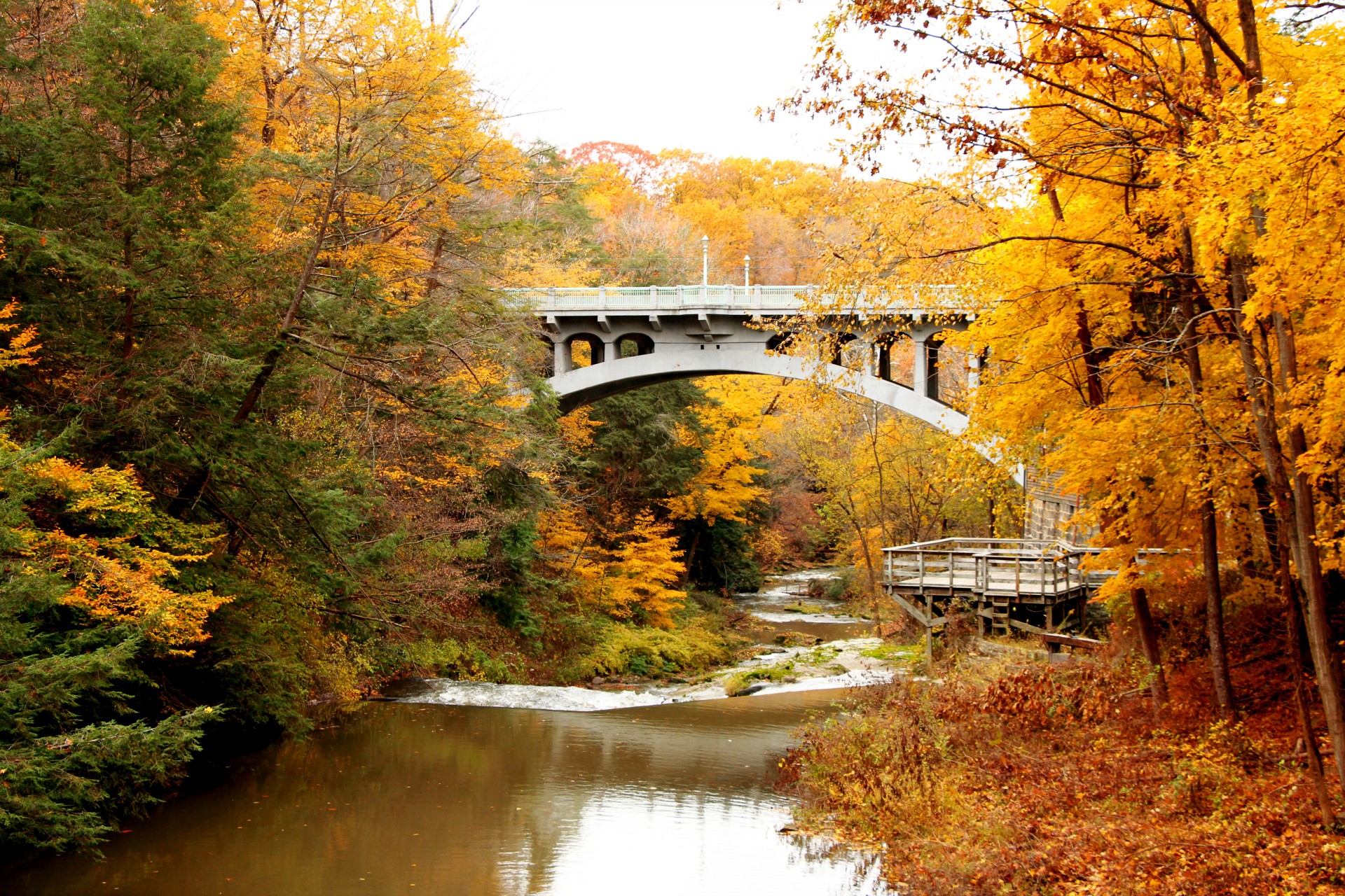 bridge river autumn free photo