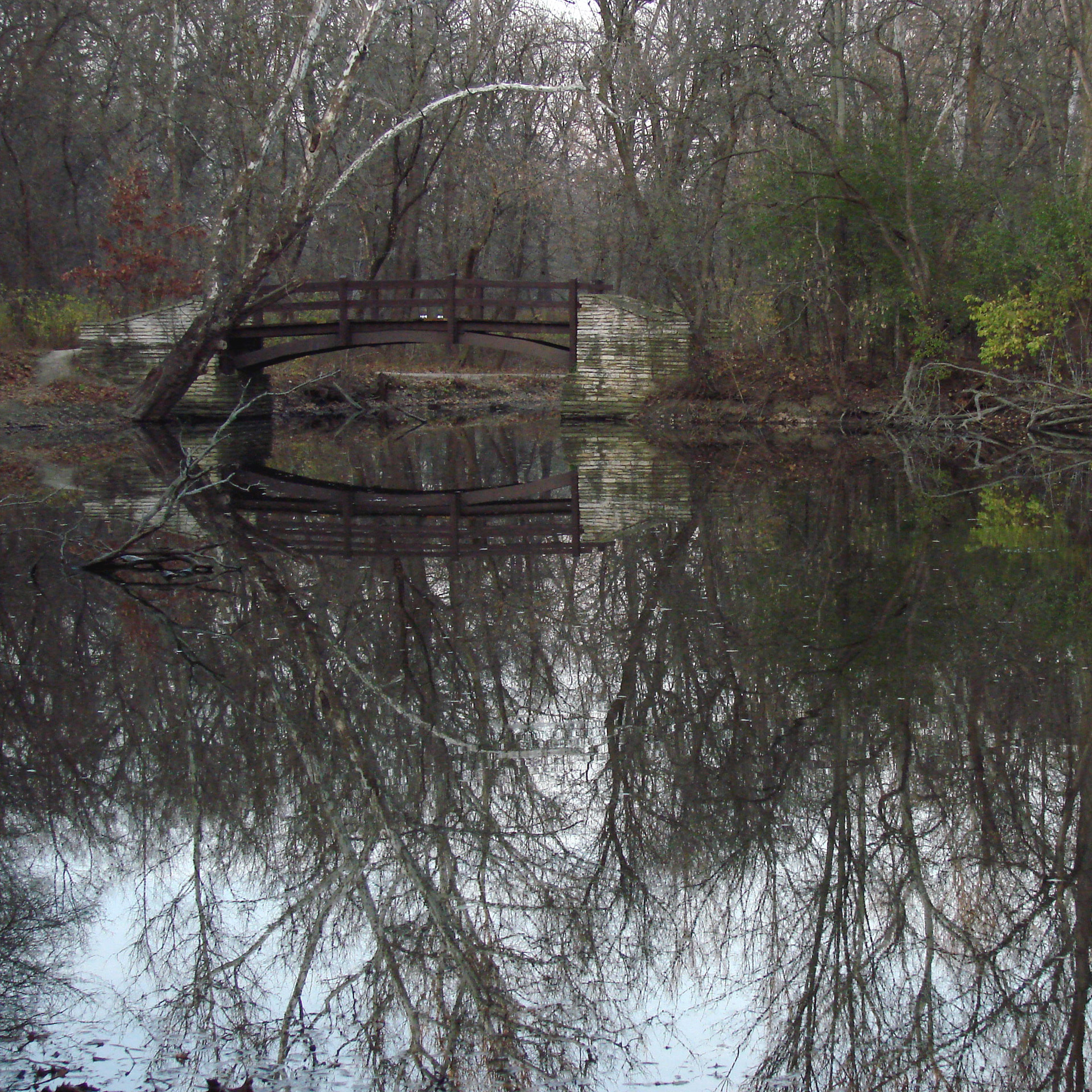 bridge creek water free photo