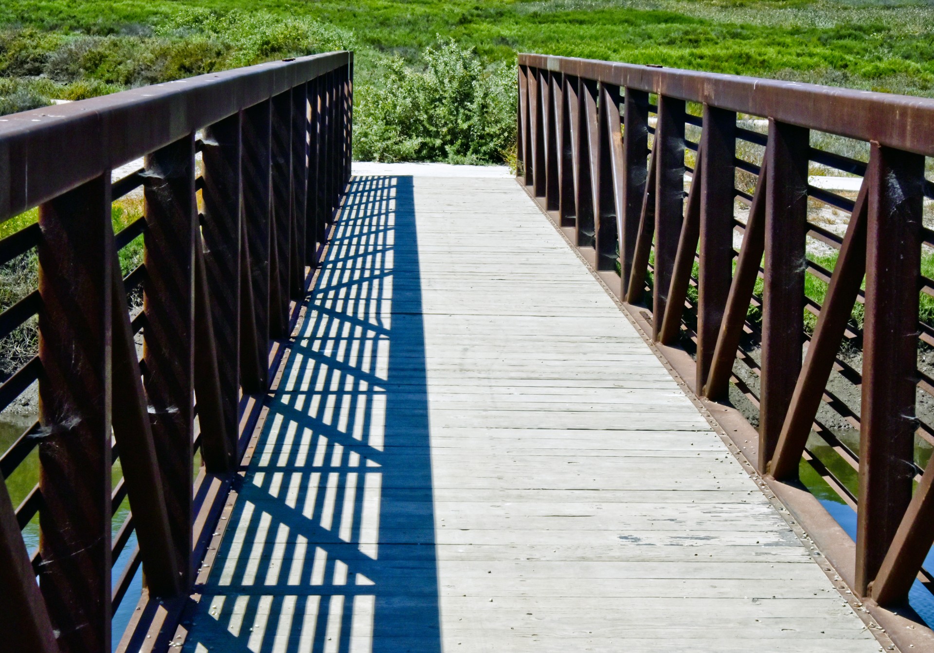 bridge river grass free photo