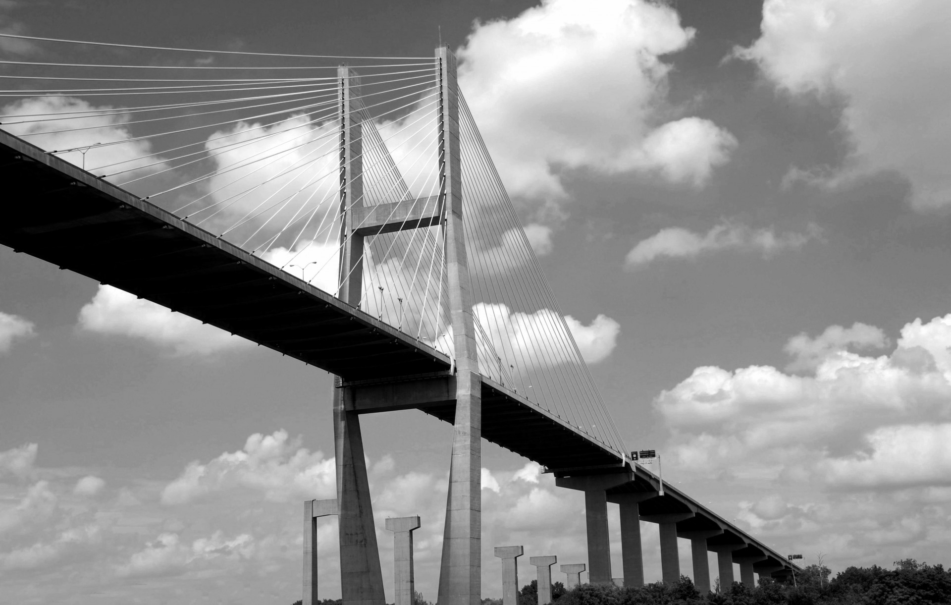 bridge span bridge savannah free photo