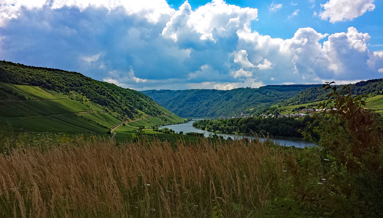 briedel mosel sachsen free photo