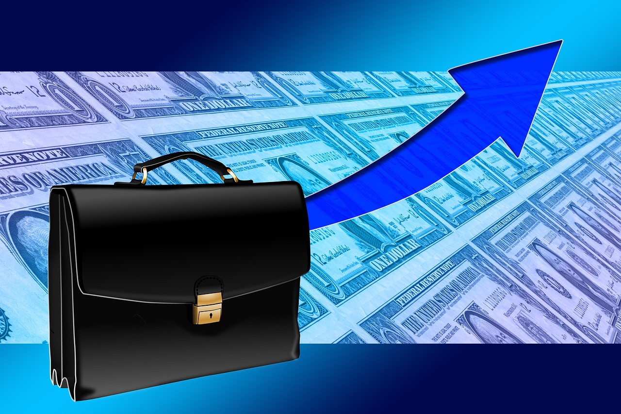 briefcase success curve free photo