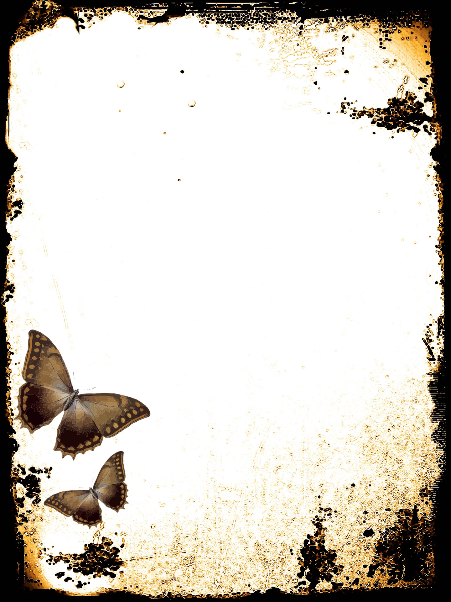background sauermaul butterflies stationery free photo