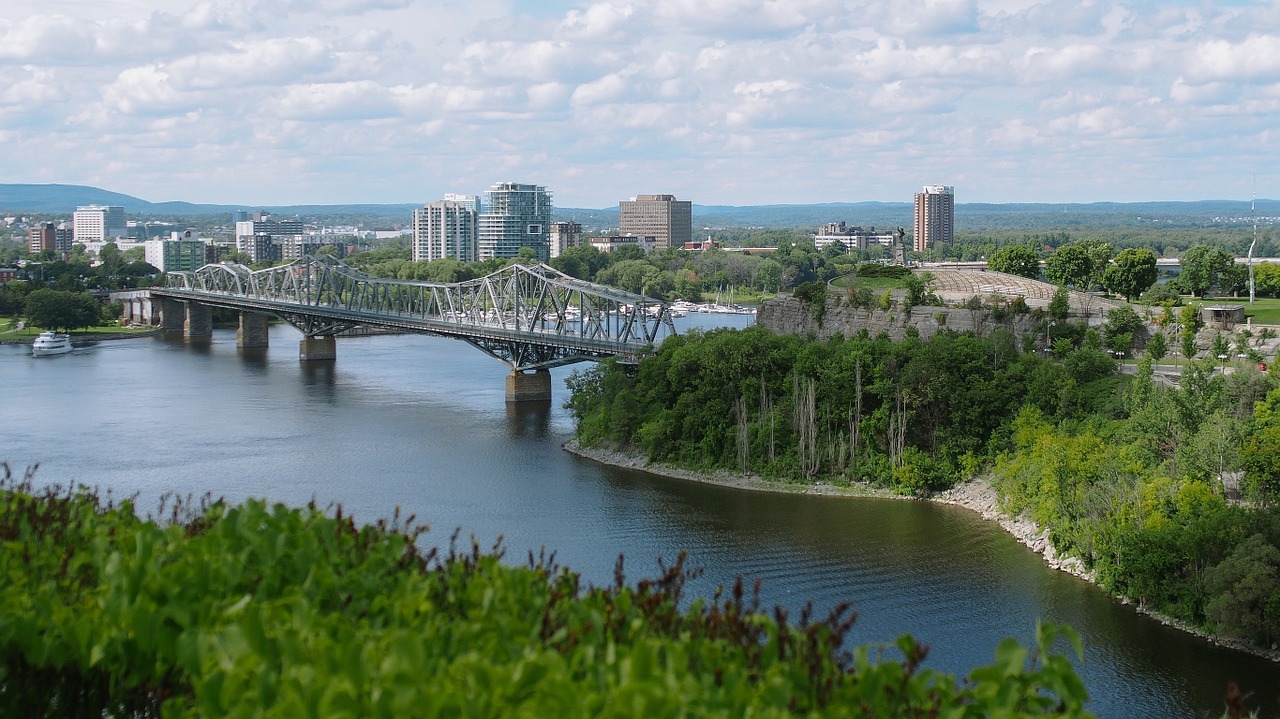 brigde city trees free photo