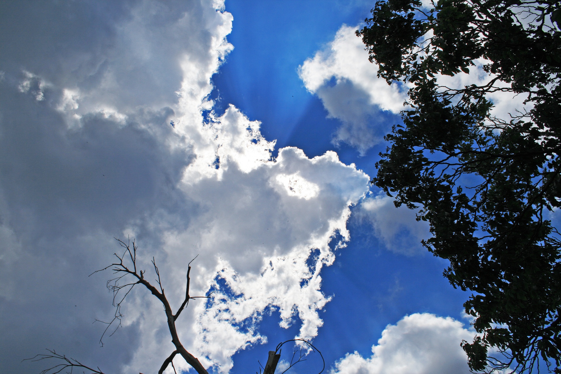 sky blue cloud free photo