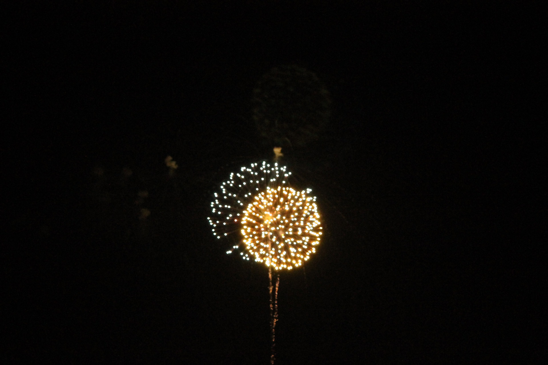 independence day fireworks 4th of july free photo